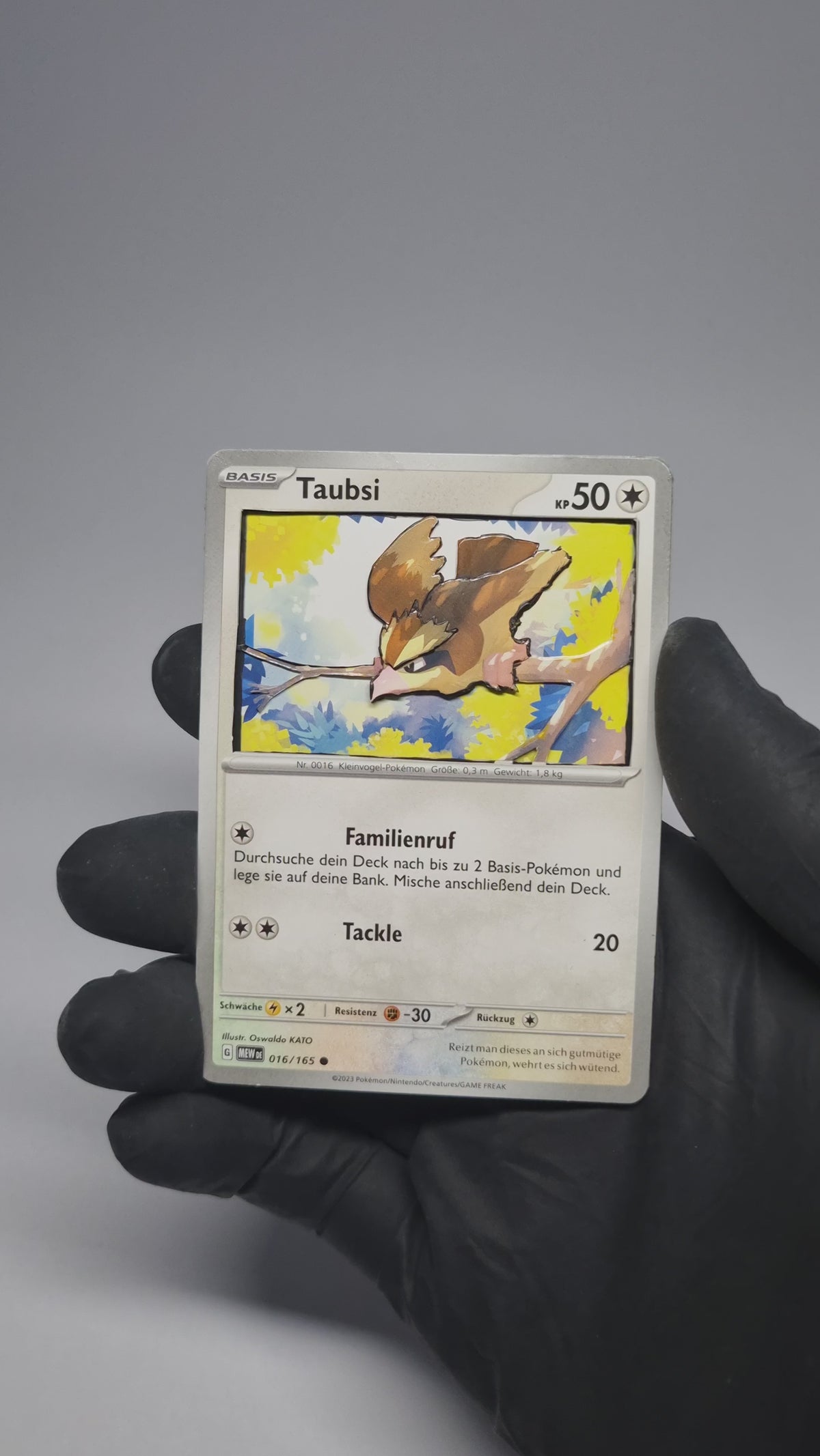 Shadowbox Pokémon TCG – [Taubsi] | Handmade Art